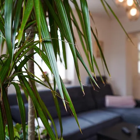 Bloom Gomzi Apartment